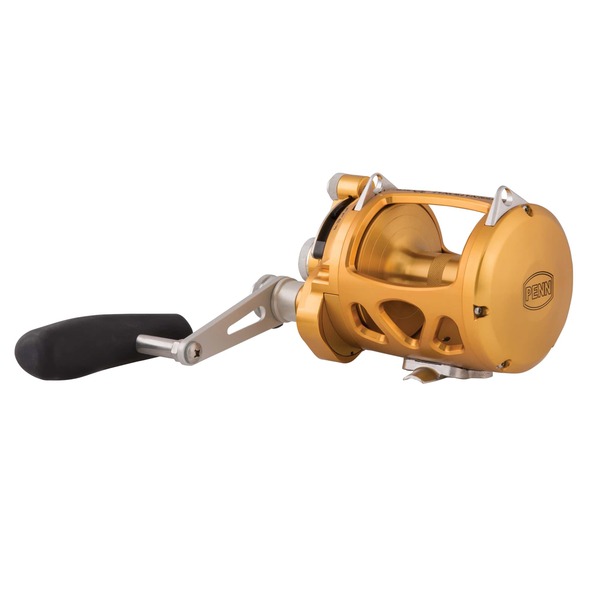 PENN International VI SW Gold Carrete para Mar