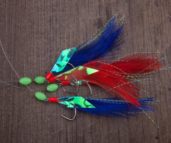 Aquantic Makerel Circle - Aquantic Makerel Circle I