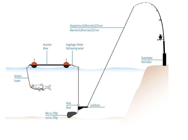 Uni Cat Adjustable Bone System