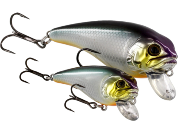 Westin FatBite Crankbait 5,5cm