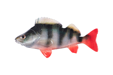 Fox Rage Ultra Natural Fillet Shad Perch 8cm (4 Stuks)