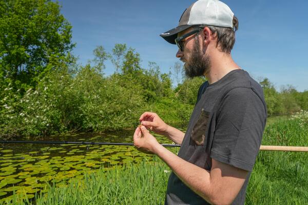 Ultimate Parabolic Floater