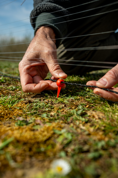 Ridgemonkey Nite Glo Wrap Sticks