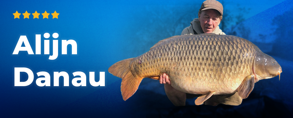 Topbanner: Prostaffer Alijn Danau