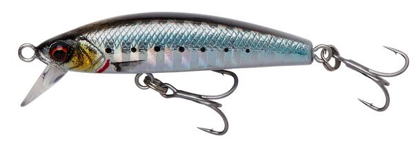 Savage Gear Gravity Minnow 6cm (12g) - Sardine Photo Print