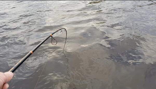 Baitcaster Rod Patriot Pike Specialist Hyrräkelavapa 2.44m (15-75g)