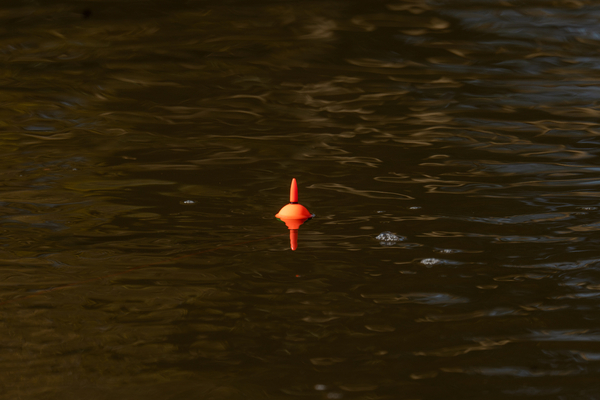 Ultimate Predator Float Night Light