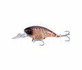 Ultimate Trout Lure Set de Caña