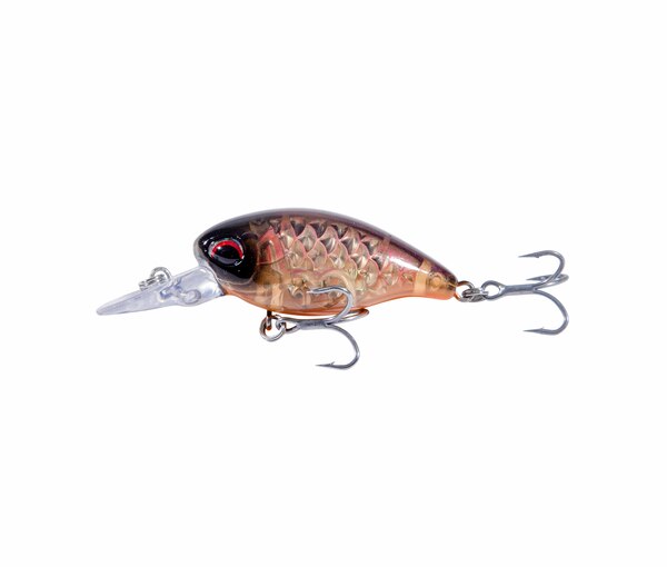Ultimate Trout Lure Set de Caña
