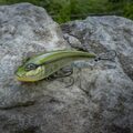 Rozemeijer Tybrid Jerkbait 15cm (81g)