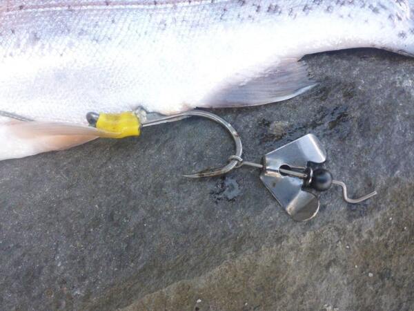 Black Cat Buzzer-Hook DG Silver (3pcs)