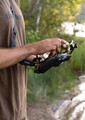 Deeper Spark Controller