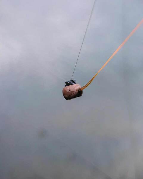 Fox Edges Captive Back Leads MK2 Top Lead