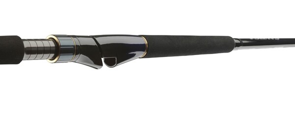 Daiwa Saltiga Light Game Meeresrute 8ft/2.40m 40-110g