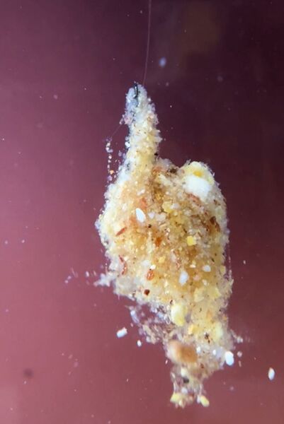 Saenger DK Fishing Son's Secret Bindpoeder Dip (85g)