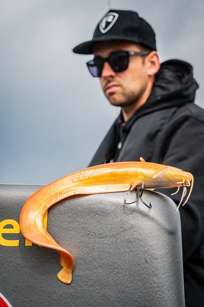 Fox Rage Ultra Realistic Replicant Catfish Golden Wels Swimbait
