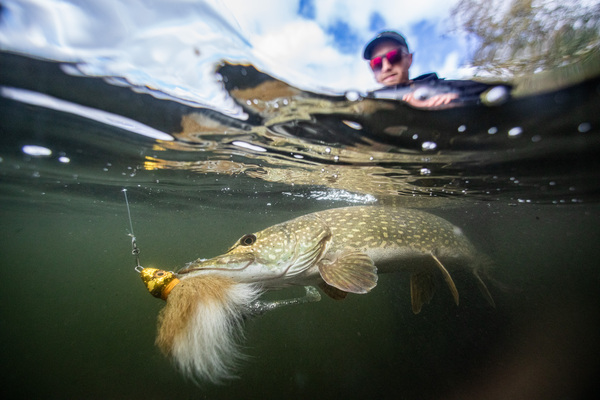 Grayton Buck-Bug Bucktail Jig S 19cm (40g)