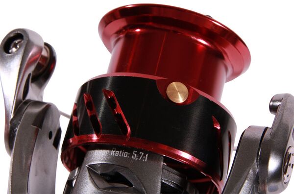 Ultimate Chikara Spider Spinmolen