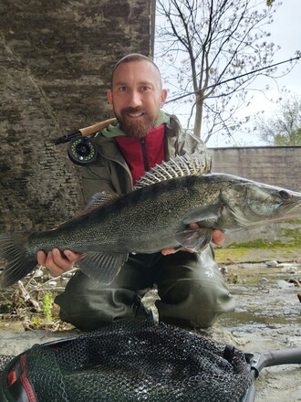 Il vincitore precedente