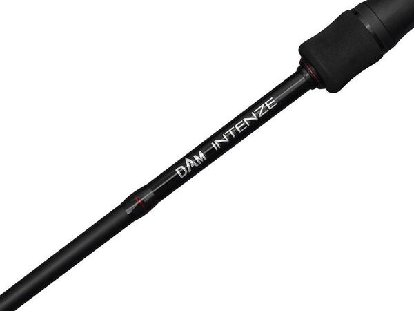 Dam Intenze2 Casting Baitcast Rod