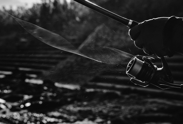 Shimano Exsence B Sea Fishing Spinning Reel