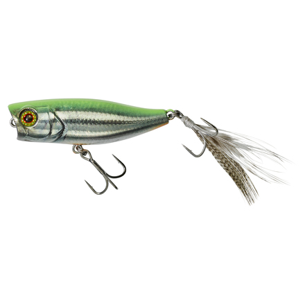 Jackall Chubby Popper 42 Topwater Lure Rt Visible Roach 4.2cm (3.3g)