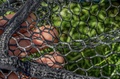 Preston Monster XS Lift Net Schepnet