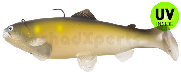Castaic Swimbait Trout 20cm