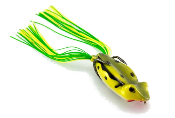 Jackson STL Pop Frog 160 - Toad Frog