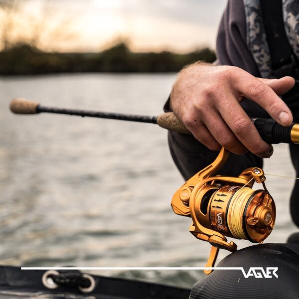 Vagner Bagrus Meerval Molen