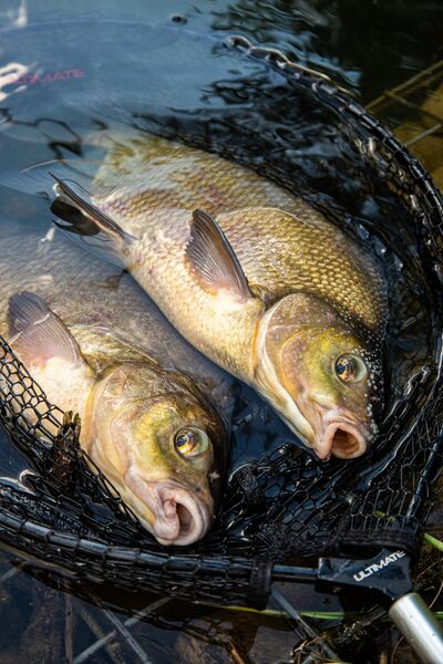 Ultimate Pannet 50x40cm