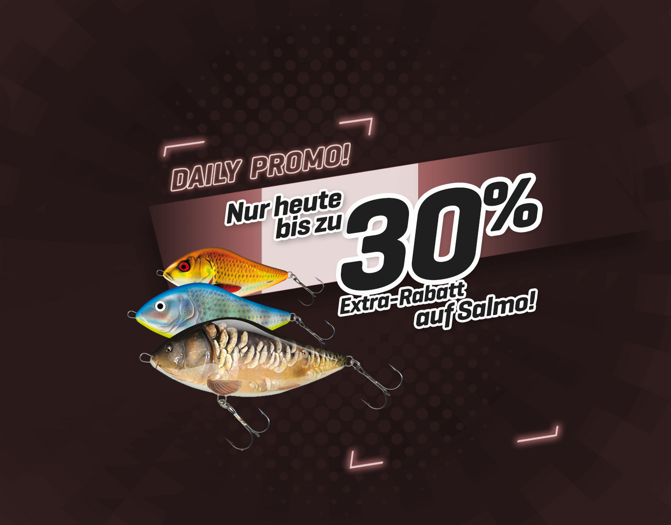 Subbanner: Tot 30% Salmo