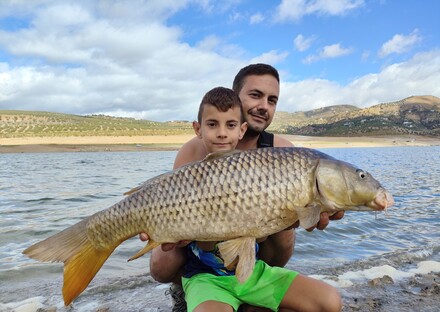 Ganador anterior