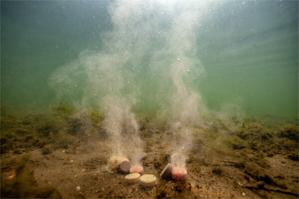 Ultimate Baits Up & Down Tablets 20 mm, release of scent, colour and flavour underwater