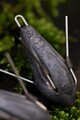Korda Grapple Lead Peillood