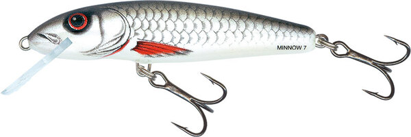 Salmo Minnow 6cm 4gr Floating 0,5-1m - Dace