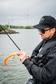 Fox Rage Ultra Realistic Replicant Catfish Golden Wels Swimbait