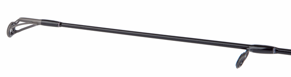 Shimano Bassterra A Seabass Spinning Zeevishengel 