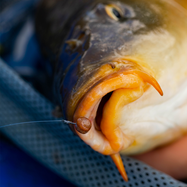 Fjuka Natural 2in1 200Gramm