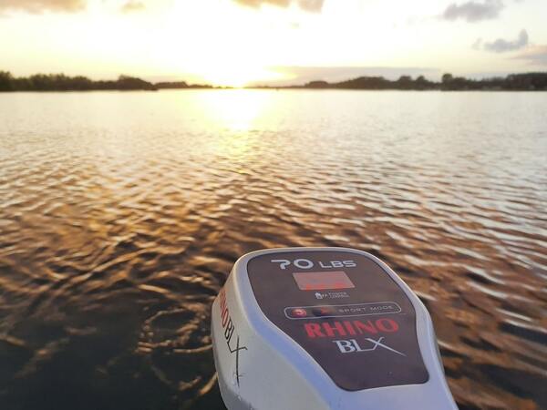 Rhino BLX 70 Silnik elektryczny