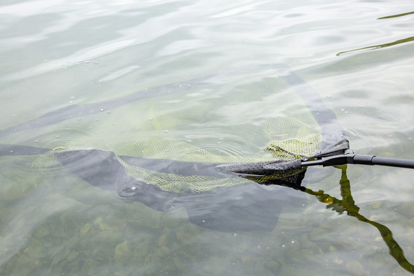 Ultimate Full Float Carp Net Camo 42"