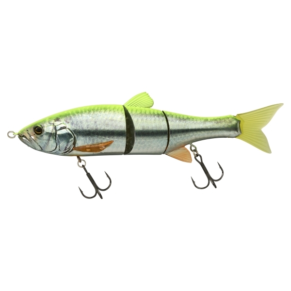 Illex Dowz Swimmer 220 SF Swimbait 22cm (102g) - RT Visible Roach