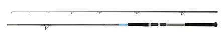 Shimano Bassterra XT Shore Jigging Zeevishengel
