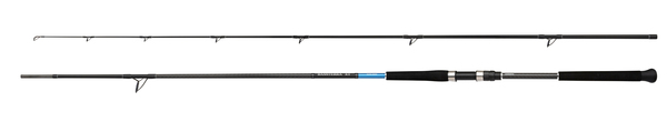 Shimano Bassterra XT Shore Jigging Zeevishengel