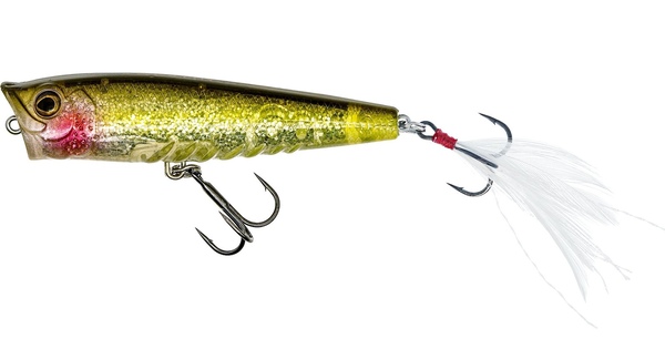 Set Westin Gift Box Radek Filips Favorites (5 pièces)