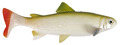 Uni Cat Trout Softbait 20cm - GT