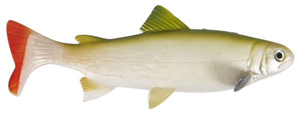 Uni Cat Trout Softbait 20cm - GT