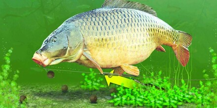 Korda Lead Clips Silt Normale verpakking