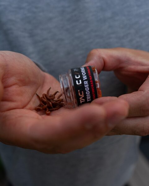 Tactic Carp Trigger Worms Natural Baits (30ml)