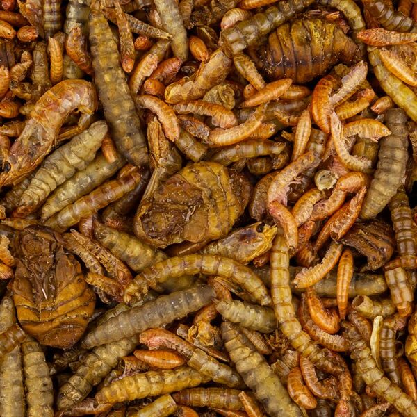 Vivani Fishfood Insect & Shrimp mix 500g